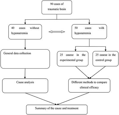 Etiology Analysis and Diagnosis and Treatment Strategy of Traumatic Brain Injury Complicated With Hyponatremia
